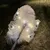 FurryFusion Décoration lumineuse en forme de papillon pour chien FurryFusion Décoration lumineuse en forme de papillon pour chien