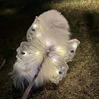 FurryFusion Décoration lumineuse en forme de papillon pour chien FurryFusion Décoration lumineuse en forme de papillon pour chien