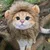 FurryFusion Verkleidungszubehör für Katzen FurryFusion Verkleidungszubehör für Katzen