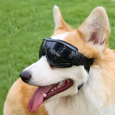 ZooVenture Hundebrille Katze Sonnenschutz Schwarz M ZooVenture Hundebrille Katze Sonnenschutz Schwarz M
