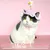 ZooVenture Chat Chapeau Fleur Decorative 2P ZooVenture Chat Chapeau Fleur Decorative 2P