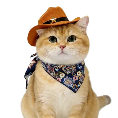 FurryFusion Katzen-Cowboyhut + Schal FurryFusion Katzen-Cowboyhut + Schal