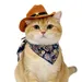 FurryFusion Katzen-Cowboyhut + Schal
