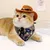 FurryFusion Katzen-Cowboyhut + Schal FurryFusion Katzen-Cowboyhut + Schal