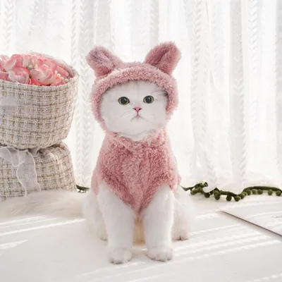 ZooVenture Sweat Chat Chien - Oreilles Lapin, Hiver, Polyester ZooVenture Sweat Chat Chien - Oreilles Lapin, Hiver, Polyester