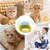 ZooVenture Chapeau Animaux Fête - Coton, Ajustable, Lavable ZooVenture Chapeau Animaux Fête - Coton, Ajustable, Lavable