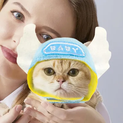 ZooVenture Chapeau Animaux Fête - Coton, Ajustable, Lavable ZooVenture Chapeau Animaux Fête - Coton, Ajustable, Lavable