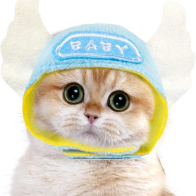 ZooVenture Chapeau Animaux Fête - Coton, Ajustable, Lavable