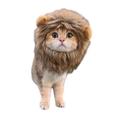 FurryFusion Verkleidungszubehör für Katzen FurryFusion Verkleidungszubehör für Katzen