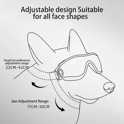 ZooVenture Hundebrille Katze Sonnenschutz Schwarz L