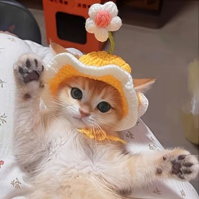 PetTribe Chapeau Tricoté Animal, Motif Plantule Pâques - Jaune