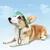 ZooVenture Chapeau Anti-UV - Bord Large, Ajustable, Respirant ZooVenture Chapeau Anti-UV - Bord Large, Ajustable, Respirant