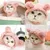 ZooVenture Serre-Tête Ours Rose - Peluche, Taille 13,7 cm ZooVenture Serre-Tête Ours Rose - Peluche, Taille 13,7 cm