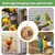 Niche en Bois Perroquet PetTribes - Aire de Nidification Petits Oiseaux