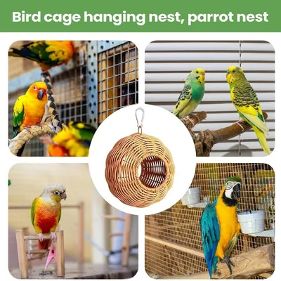 Niche en Bois Perroquet PetTribes - Aire de Nidification Petits Oiseaux