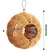 Niche en Bois Perroquet PetTribes - Aire de Nidification Petits Oiseaux