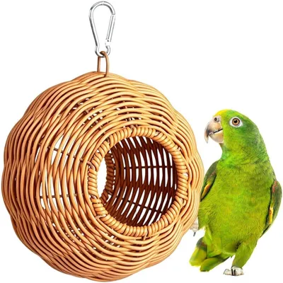 Niche en Bois Perroquet PetTribes - Aire de Nidification Petits Oiseaux