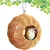 Niche en Bois Perroquet PetTribes - Aire de Nidification Petits Oiseaux