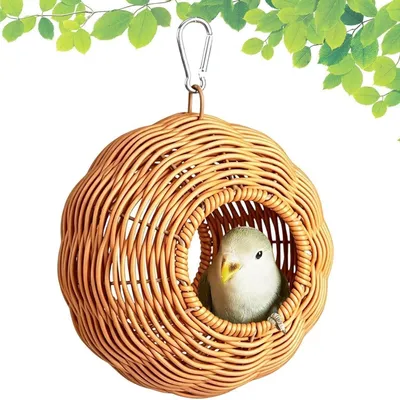 Niche en Bois Perroquet PetTribes - Aire de Nidification Petits Oiseaux