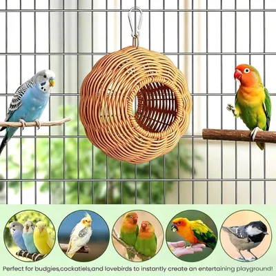 Niche en Bois Perroquet PetTribes - Aire de Nidification Petits Oiseaux