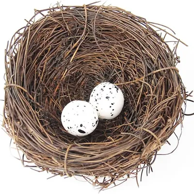 MCBOSON Nid d'Oiseau Artificiel Vintage Décoration Jardin