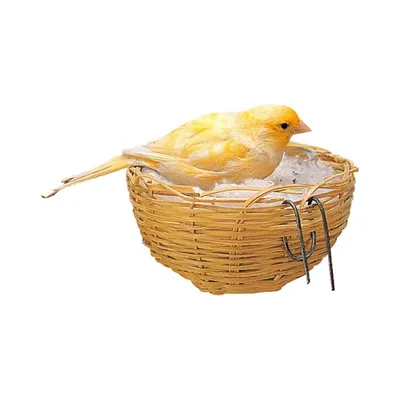 MCBOSON Nid en Osier pour Cage à Oiseaux