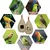 MCBOSON Lot de 2 Nichoirs à Oiseaux Sauvages