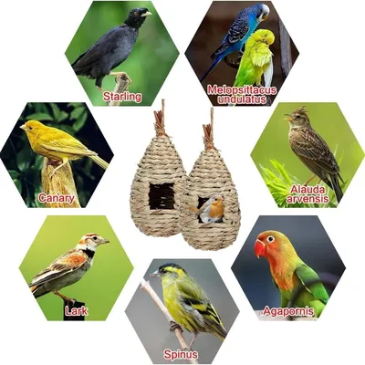 MCBOSON Lot de 2 Nichoirs à Oiseaux Sauvages