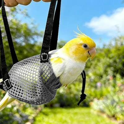 Sac Transport Petit Oiseau PetTribes - avec Harnais Intégré Anti-Évasion