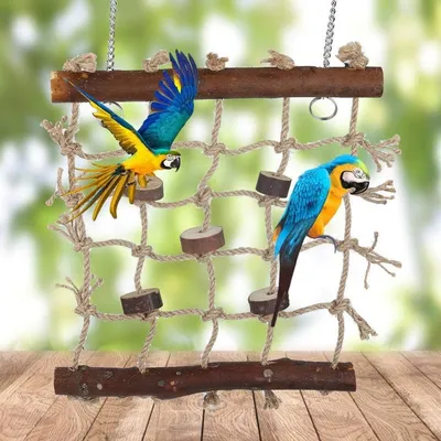 HausPets Hamac à échelle en bois pour oiseaux