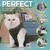 MCBOSON Anti-léchage combinaison récupération chat stérilisation MCBOSON Anti-léchage combinaison récupération chat stérilisation