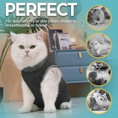 MCBOSON Anti-léchage combinaison récupération chat stérilisation MCBOSON Anti-léchage combinaison récupération chat stérilisation