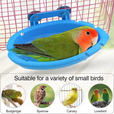MCBOSON Baignoire Suspendue pour Oiseaux Petits (Bleu)