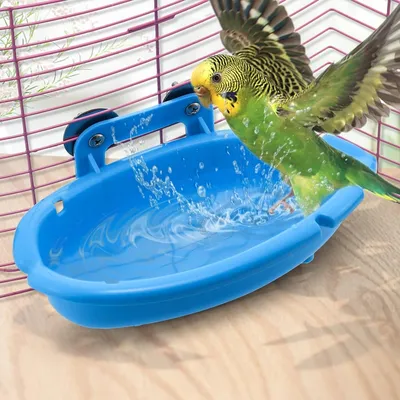 MCBOSON Baignoire Suspendue pour Oiseaux Petits (Bleu)
