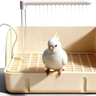 MCBOSON Douche pour Oiseaux
