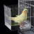 MCBOSON Bain d'Oiseaux Suspendu Cube