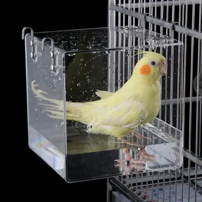 MCBOSON Bain d'Oiseaux Suspendu Cube