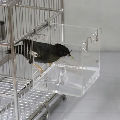 MCBOSON Bain d'Oiseaux Suspendu Cube