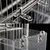 MCBOSON Bain d'Oiseaux Suspendu Cube