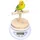 Plastique : 16,2 x 12,5 x 3,2 cm