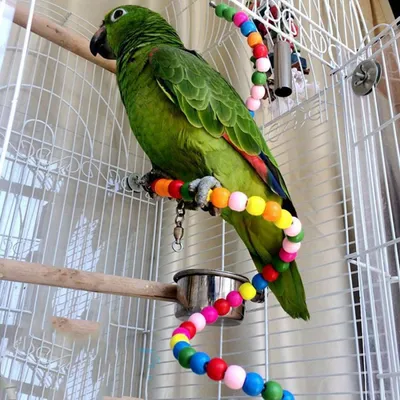 MCBOSON Perchoir Flexible Oiseaux, Bois 100cm