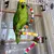 MCBOSON Perchoir Flexible Oiseaux, Bois 100cm