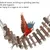 MCBOSON Échelle Oiseaux Bois + Pont Corde,