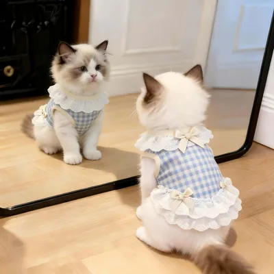 FurryFusion Prinzessin Katzenrock-Weste