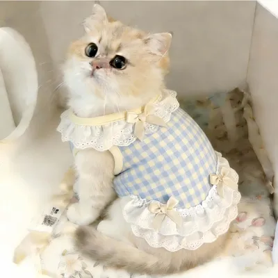FurryFusion Prinzessin Katzenrock-Weste