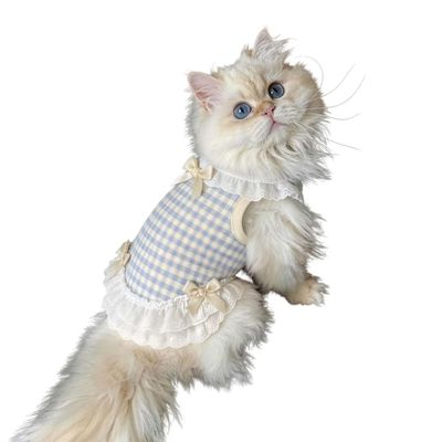 FurryFusion Prinzessin Katzenrock-Weste