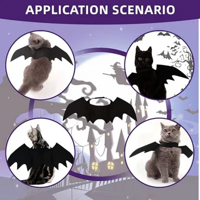 ZooVenture Ailes Chauve-Souris Chat - Feutre Noir, Taille Unique ZooVenture Ailes Chauve-Souris Chat - Feutre Noir, Taille Unique
