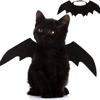 ZooVenture Ailes Chauve-Souris Chat - Feutre Noir, Taille Unique