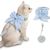 Farbe: Blau