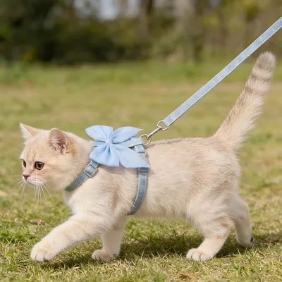 ZooVenture Katze Geschirr Fliege Blau Verstellbar ZooVenture Katze Geschirr Fliege Blau Verstellbar